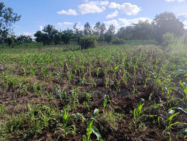 Selling Land in Kirinyaga County