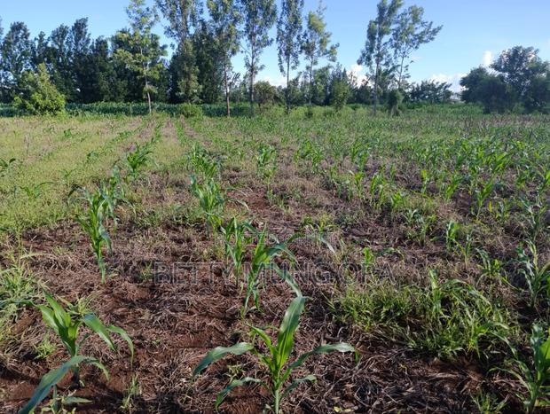 Selling Land in Kirinyaga County - thumbnail 2