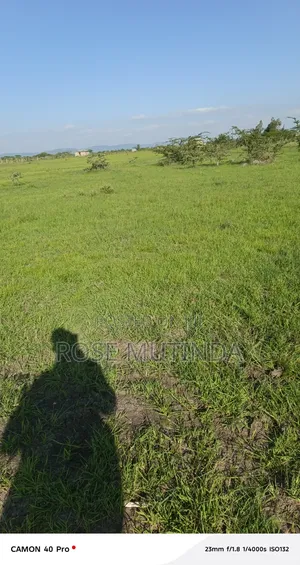 3acres Ar Koma
