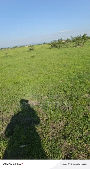 3acres Ar Koma