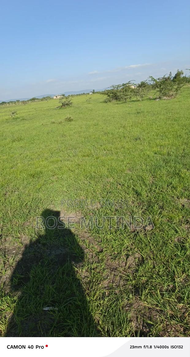 Land for Sale - thumbnail 3