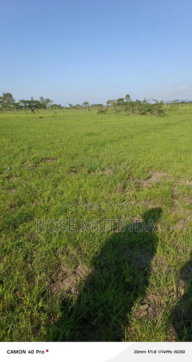 Land for Sale - thumbnail 4