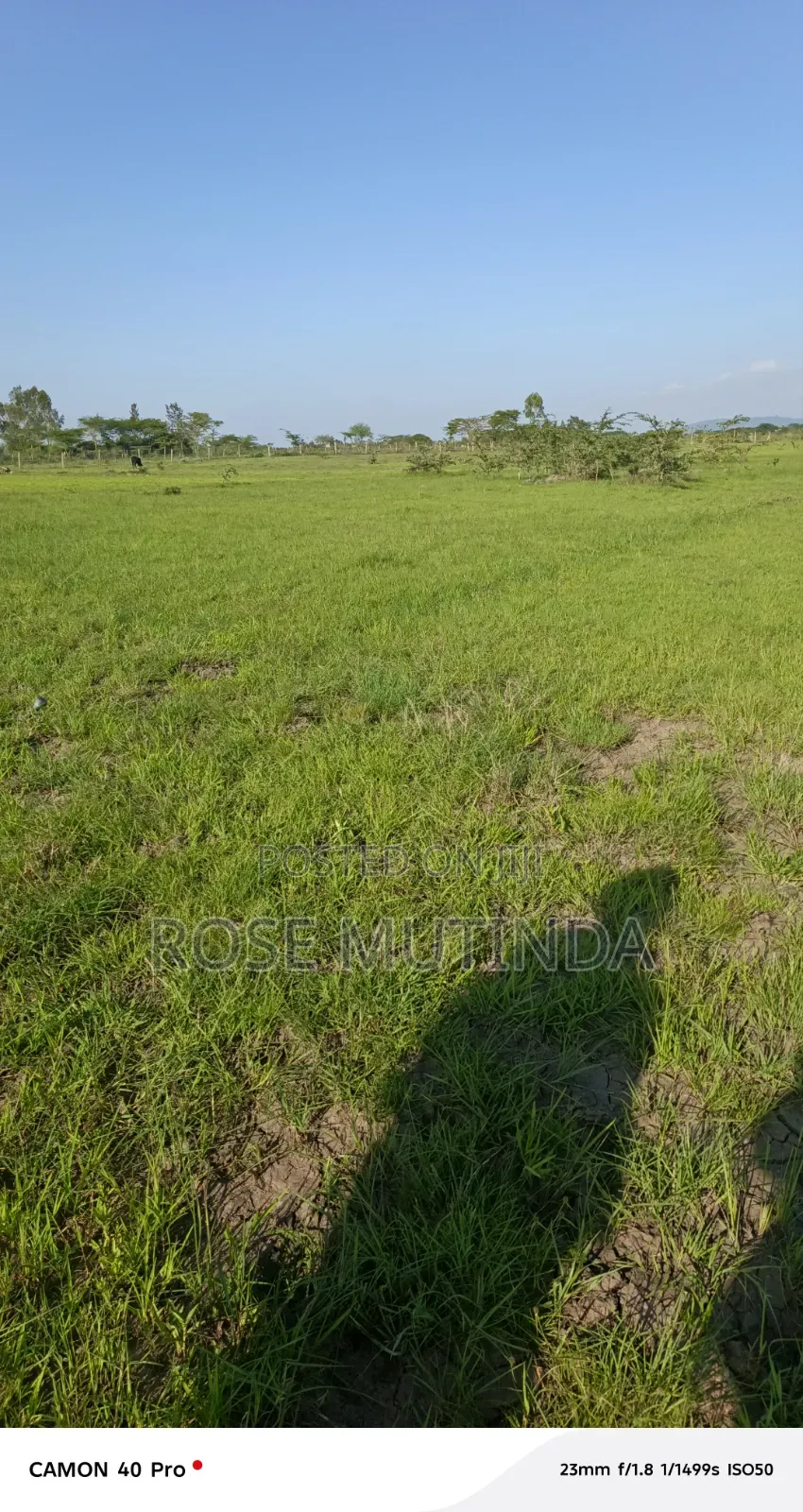 3acres Ar Koma