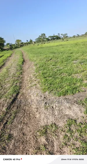 3acres Ar Koma