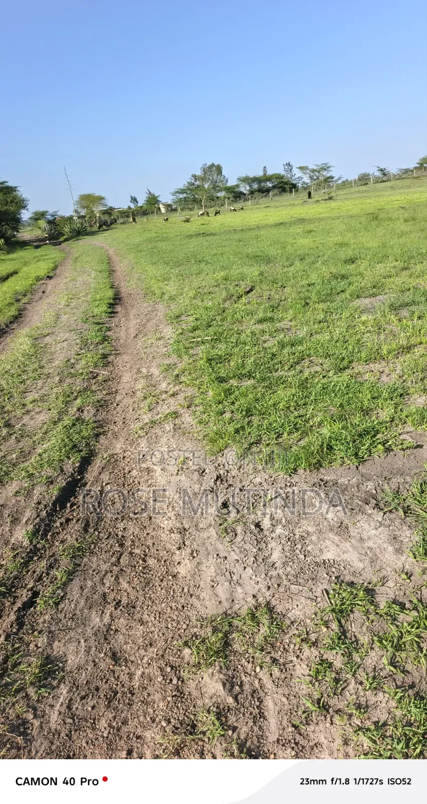 3acres Ar Koma