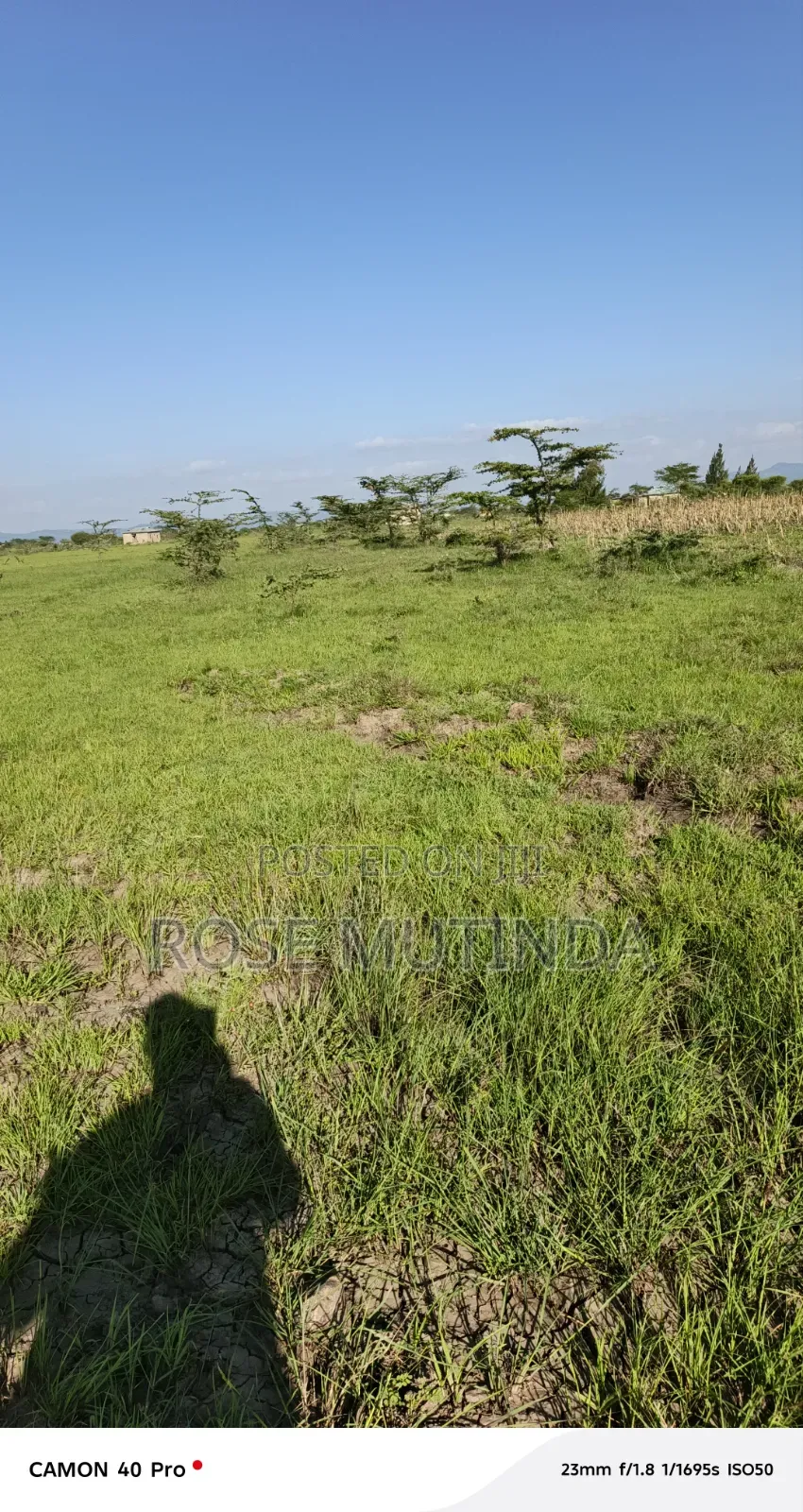 3acres Ar Koma