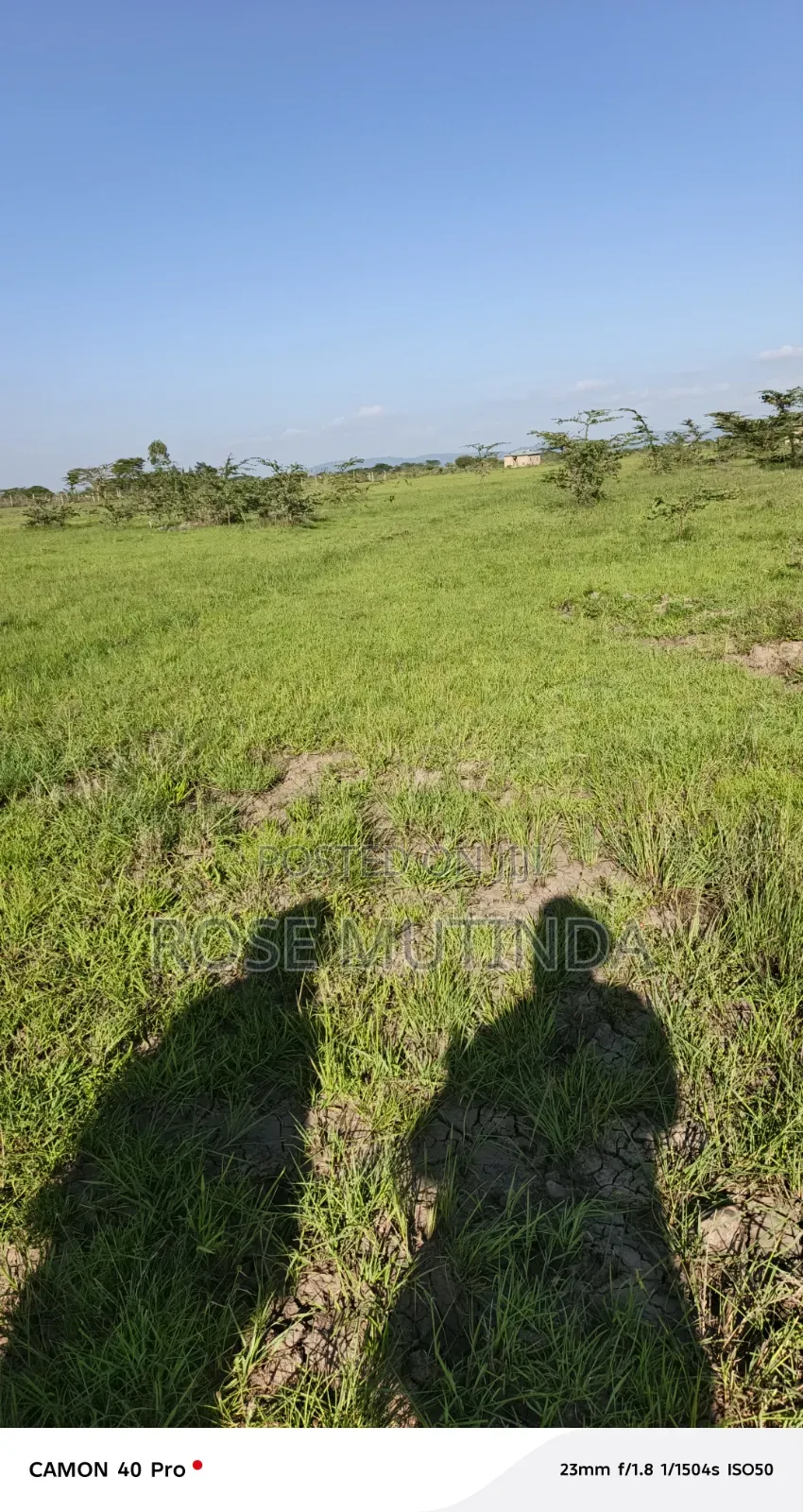 3acres Ar Koma