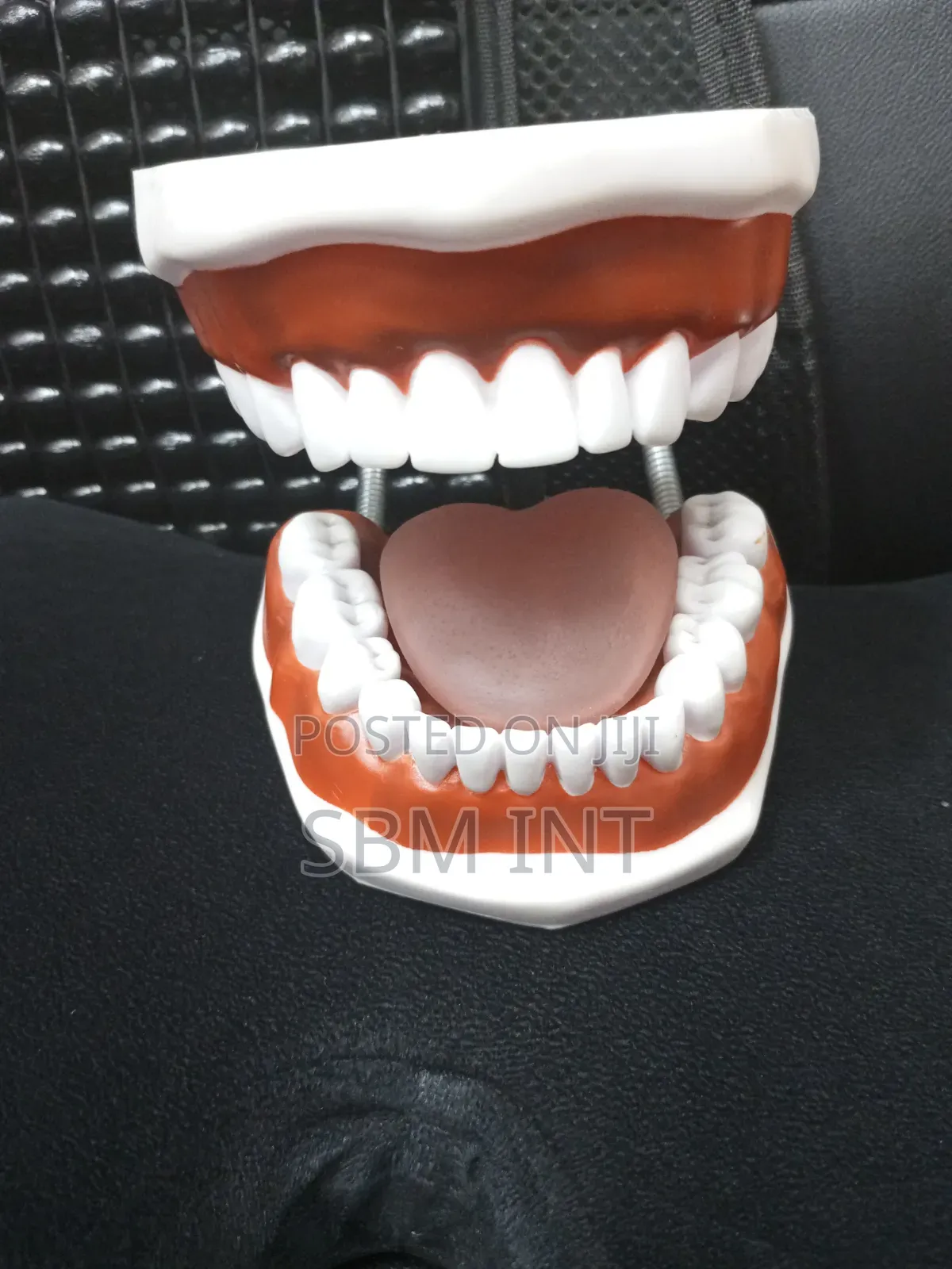 Tooth Model