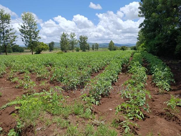 Selling Land in Kirinyaga County