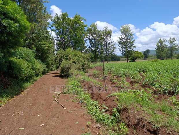Selling Land in Kirinyaga County - thumbnail 2