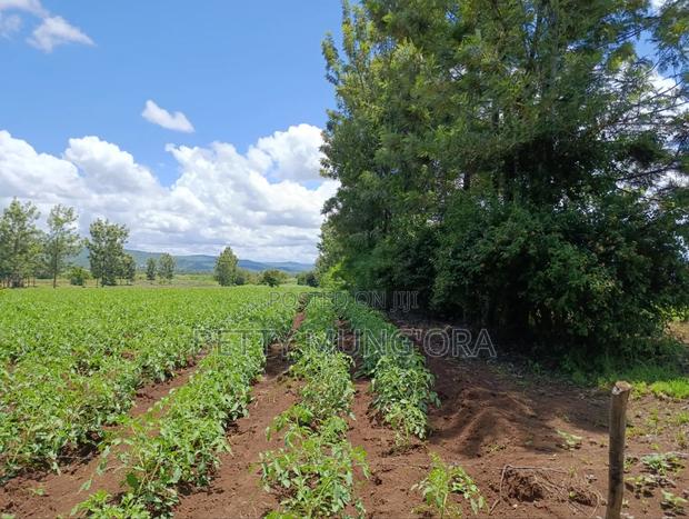 Selling Land in Kirinyaga County - thumbnail 3
