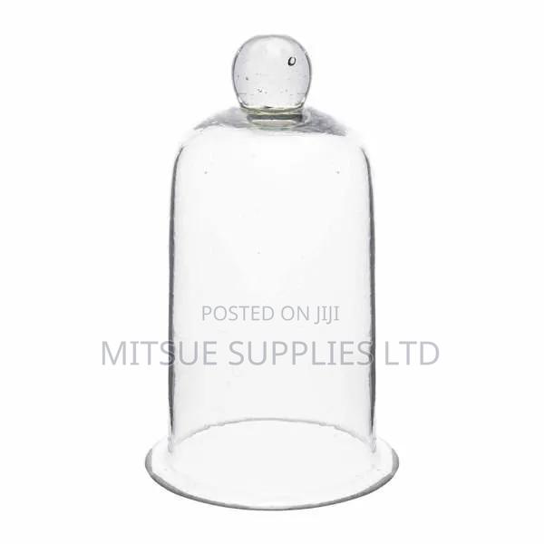 Bell Jar (Knobbed)