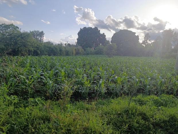 Selling Land in Kirinyaga County