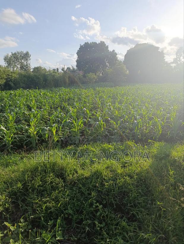 Selling Land in Kirinyaga County - thumbnail 2