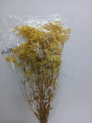 Dried Flower Bouquet
