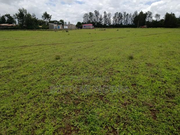 Selling Land in Kirinyaga County