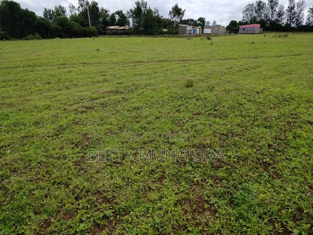 Selling Land in Kirinyaga County - thumbnail 2