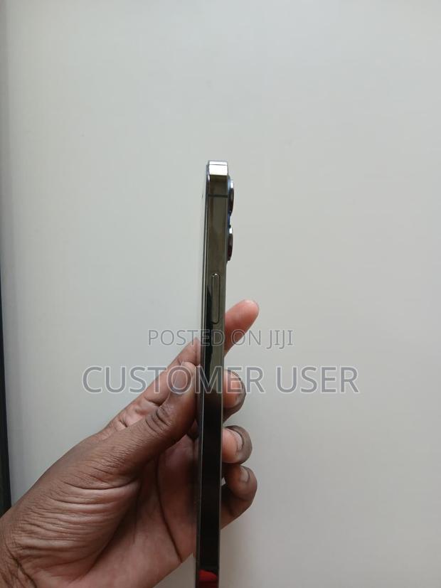 Apple iPhone 12 Pro Max 256 GB Gray - thumbnail 2