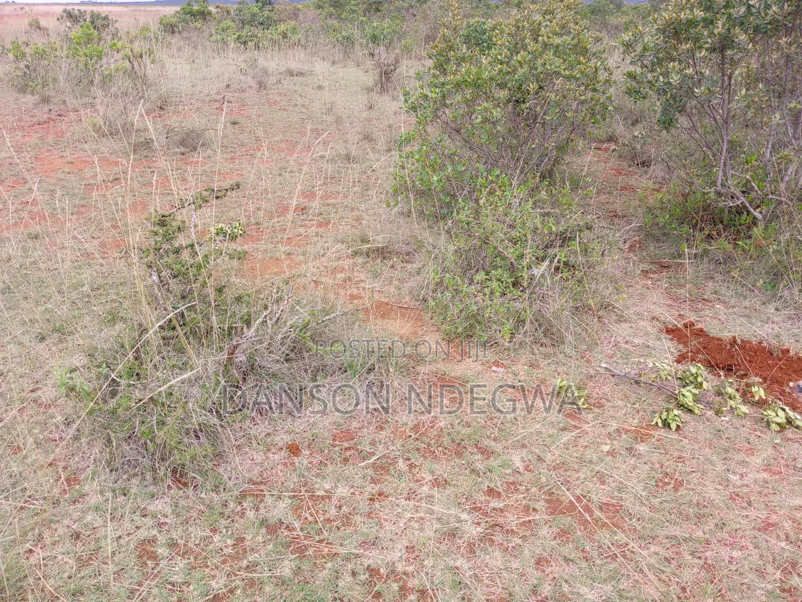 18 Acres for Sale at Salama Nyahururu Laikipia