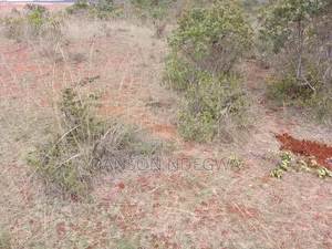 18 Acres for Sale at Salama Nyahururu Laikipia