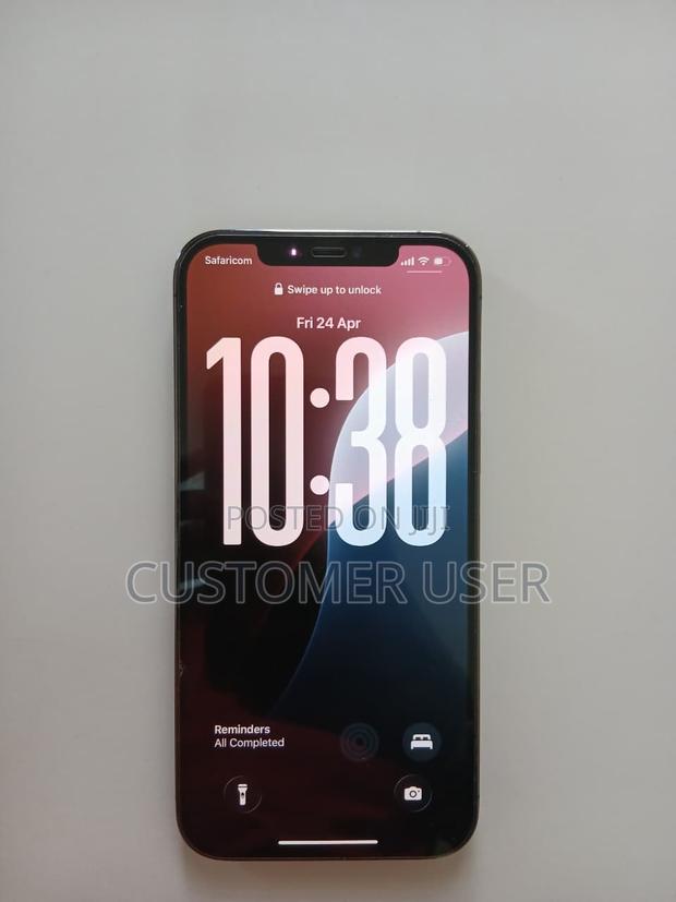 Apple iPhone 12 Pro Max 256 GB Gray