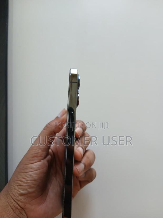 Apple iPhone 12 Pro Max 256 GB Gray - thumbnail 4