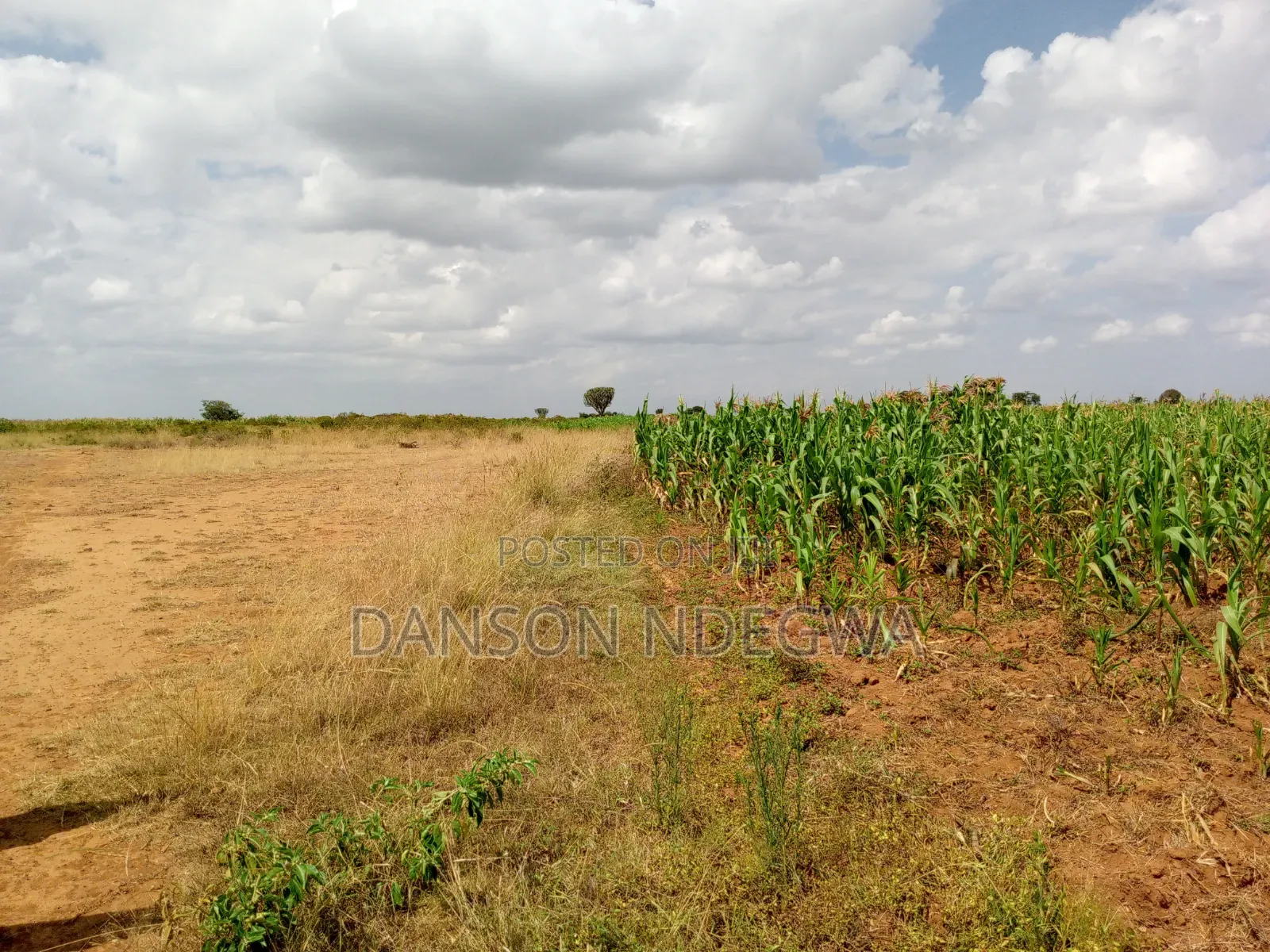 18 Acres for Sale at Salama Nyahururu Laikipia