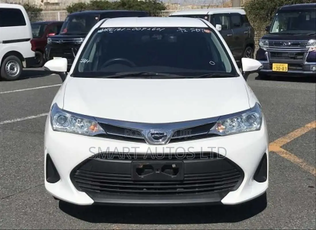 Toyota Corolla Fielder 2020 Pearl