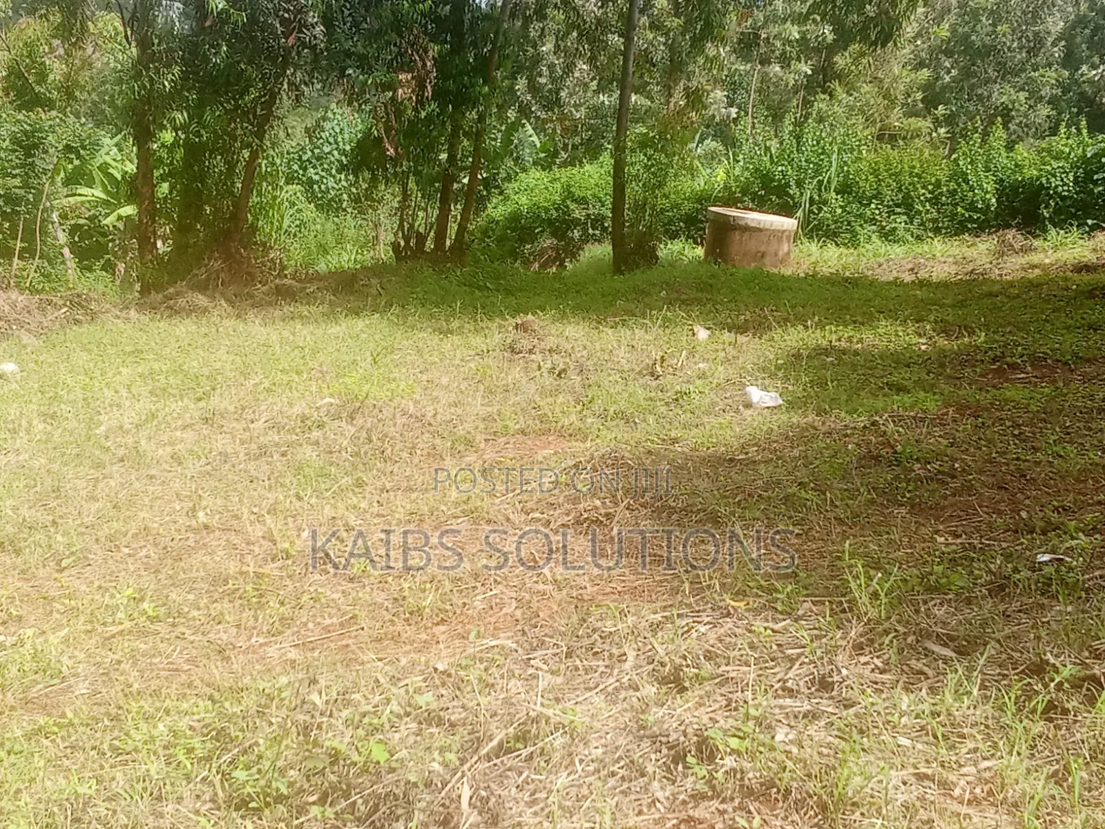 Prime Plot for Sale at Muchatha Near Quickmatt 6m