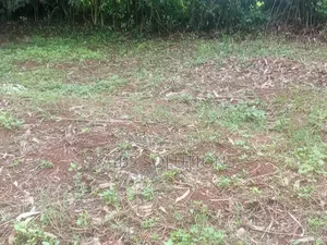 Prime Plot for Sale at Muchatha Near Quickmatt 6m