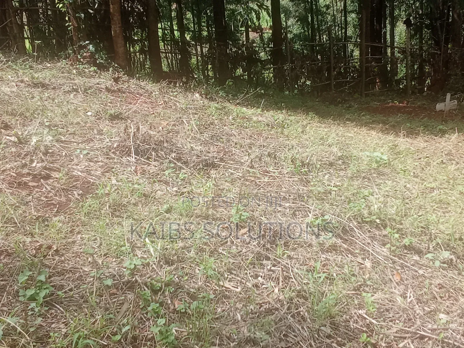 Prime Plot for Sale at Muchatha Near Quickmatt 6m