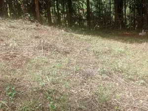 Prime Plot for Sale at Muchatha Near Quickmatt 6m