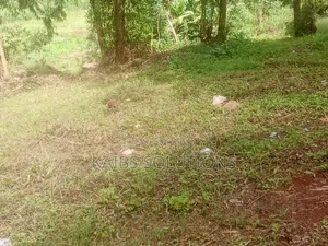 Prime Plot for Sale at Muchatha Near Quickmatt 6m