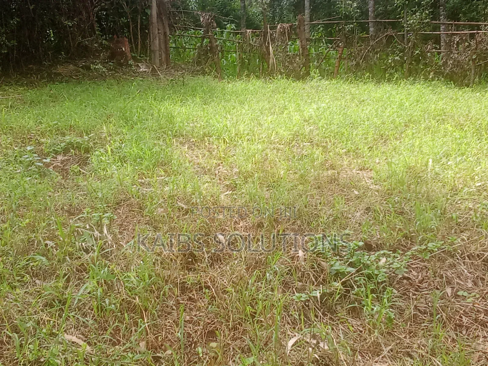 Prime Plot for Sale at Muchatha Near Quickmatt 6m