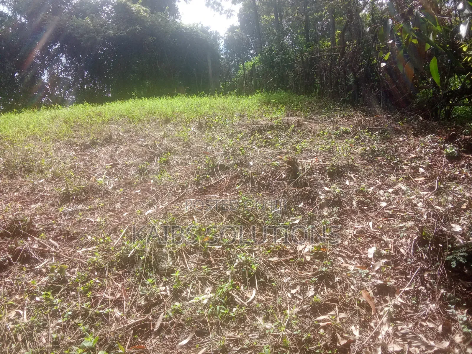 Prime Plot for Sale at Muchatha Near Quickmatt 6m