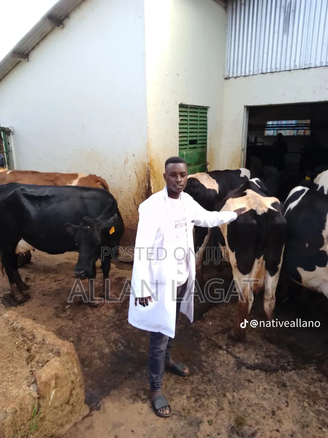 Farming and Vetinary Jobs