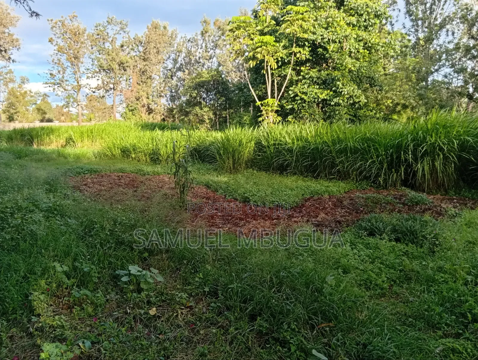 Land for Sale in Kikuyu