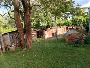 Land for Sale in Kikuyu