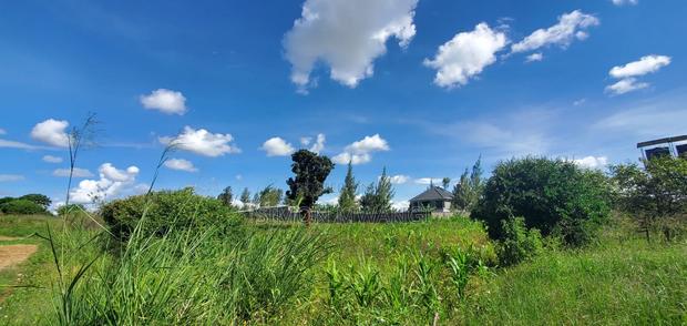 1/4 Acre on Sale at Ruiru Off Githunguri Rd Opp Ukombozi Estate at 7.5m