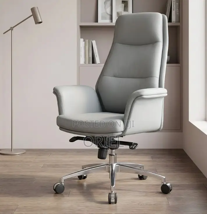 Executive Office Chair : High-Back Elegant Gray Office Chair