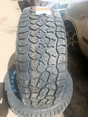 265/65r17 Bearway