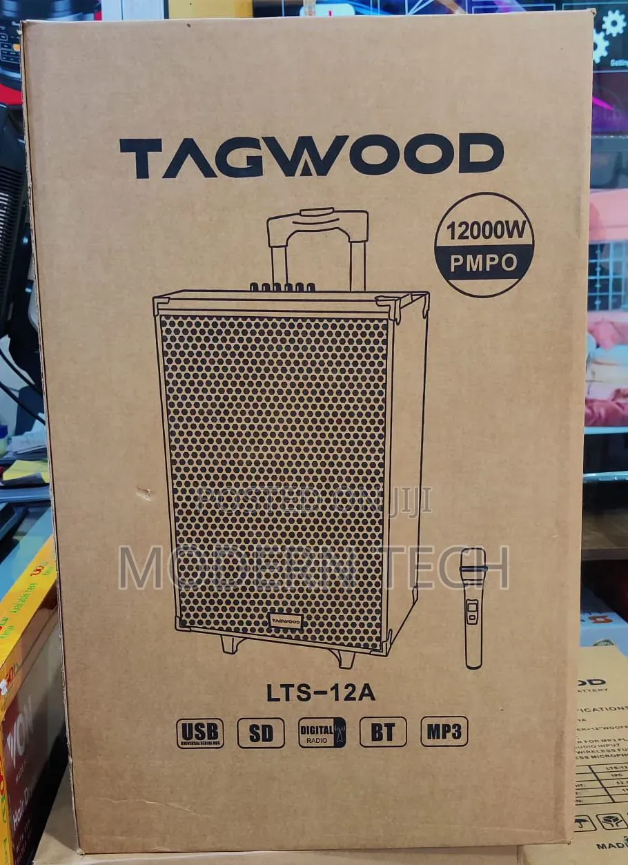 Tagwood 12′′ 12a Rechargeable Portable Speaker