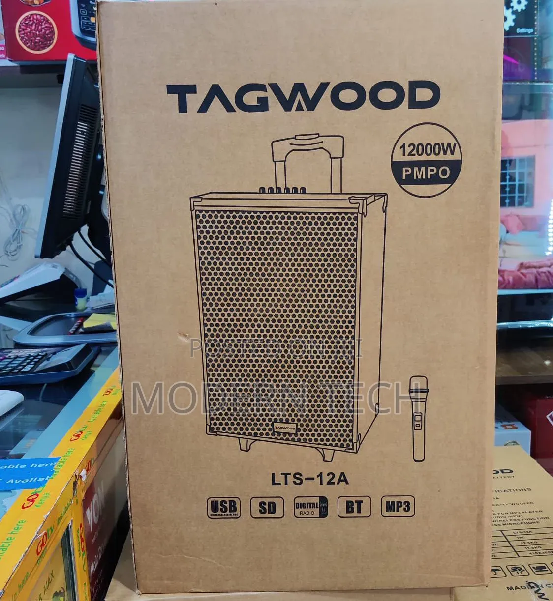 Tagwood 12′′ Powered Portable Pa Speaker With Bluetooth Fm
