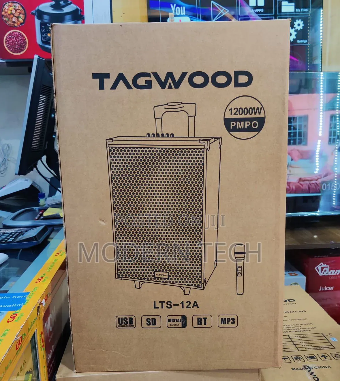 Tagwood LTS-12a Portable 12-Inch Party Speaker With Wireless Mic