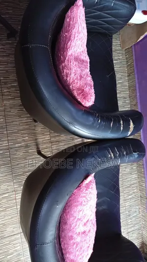 Salon and Kinyozi for Sale