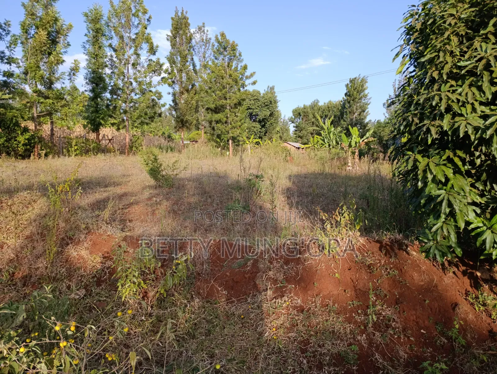 Selling Land in Kirinyaga County