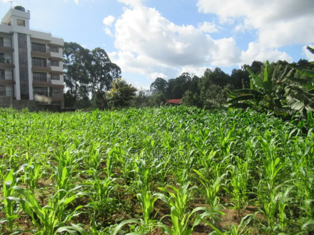 1-Acre Plot for Sale in Thindigua
