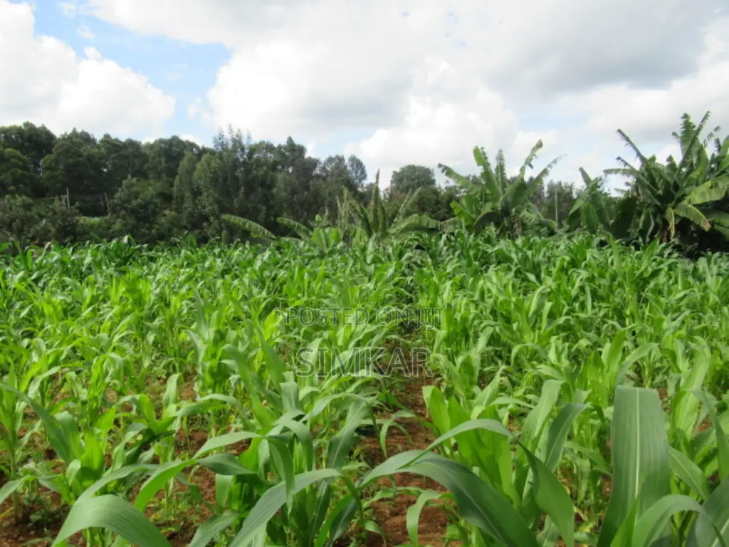1-Acre Plot for Sale in Thindigua