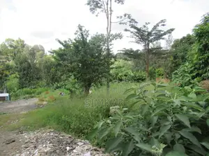 1-Acre Plot for Sale in Thindigua