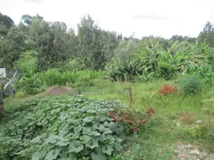 1-Acre Plot for Sale in Thindigua